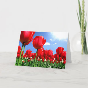 Cartão De Festividades Tulipas vermelhas na primavera