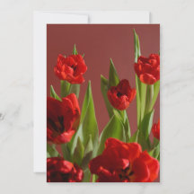 Tulipas Vermelhas “Seja Meu Namorado?” Valentim Mi