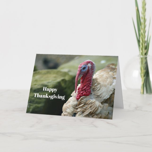 Cartão De Festividades Turkey White Head Profile Photo Thanksgiving (Frente)