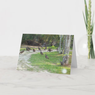 Cartão De Festividades Turquia selvagem