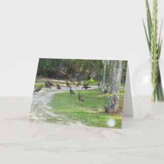 Cartão De Festividades Turquia selvagem