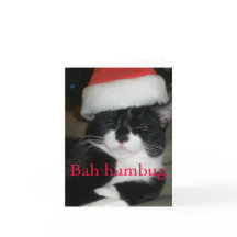 Tuxedo Cat em Santa Hat