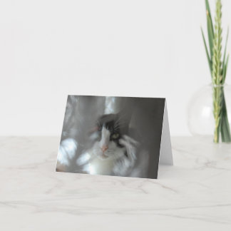 Cartão De Festividades Tuxedo Cat through branches