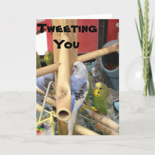 CARTÃO DE FESTIVIDADES "TWEETING" PARA DIZER TER UMA FELZ PASCOA