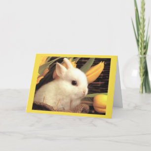 CARTÃO DE FESTIVIDADES ***TWIN*** FELIZ **PÁSCOA*** E FELIZ