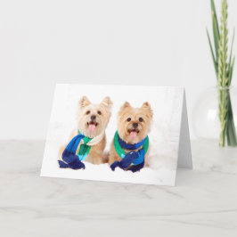 Cartão De Festividades Two Cairn Terriers Christmas Card