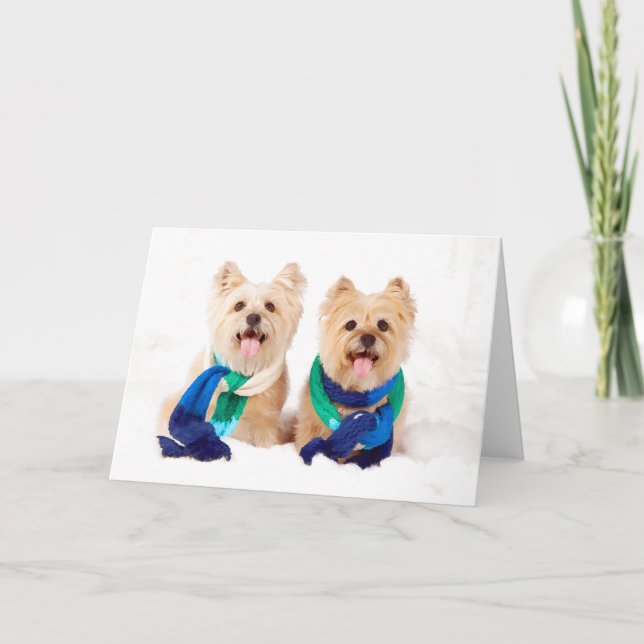 Cartão De Festividades Two Cairn Terriers Christmas Card (Frente)