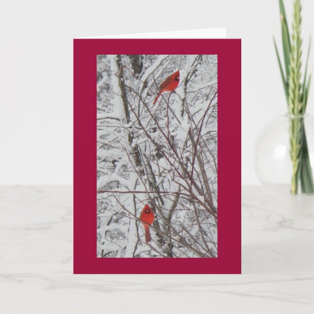 Cartão De Festividades Two Cardinals Red Border 5x7 Christmas Card (Frente)