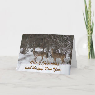 Cartão De Festividades Two deer Christmas card