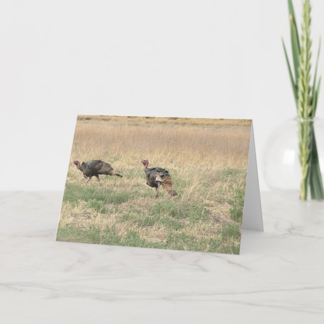 Cartão De Festividades Two Gobblers (Frente)