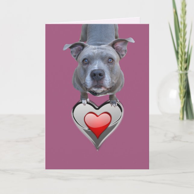 Cartão De Festividades Two Hearts Pitbull Valentine's Day Card (Frente)