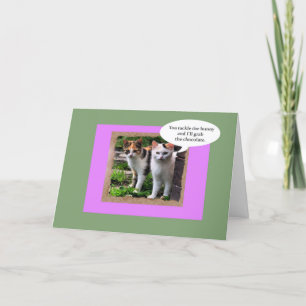 Cartão De Festividades Two Mean Cats Tackle the Easter Bunny