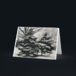 Cartão De Festividades Two Trees in Winter (blank greeting card)<br><div class="desc">An undisturbed winter scene decorates the front of this card. Customize it to add your own personal message.</div>
