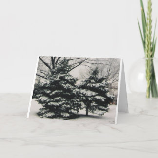 Cartão De Festividades Two Trees in Winter (blank greeting card)