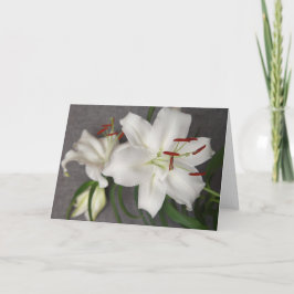 Cartão De Festividades Two White Lilies Card