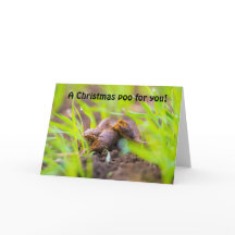 Um cachorro de Natal para você