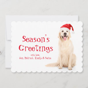 Cartão De Festividades Um Cachorro Vestindo Um Chapéu De Natal