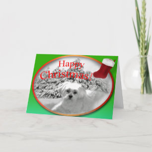 Cartão De Festividades Um desejo do Natal