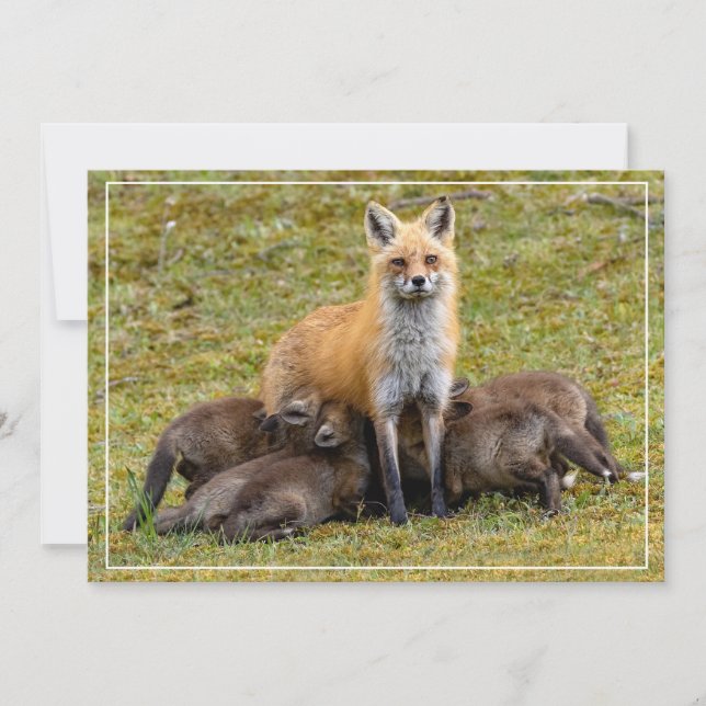 Cartão De Festividades Um dia de Mãe (Frente)