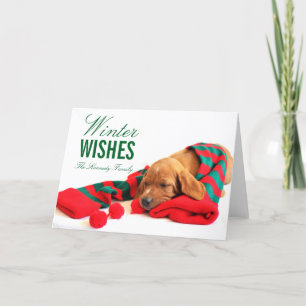 Cartão De Festividades Um filhote de cachorro misturado de Vizsla