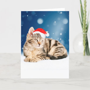 Cartão De Festividades Um gato bonito vestindo o Papai Noel vermelho e a 