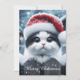 Cartão De Festividades Um gato branco com chapéu de Papai Noel