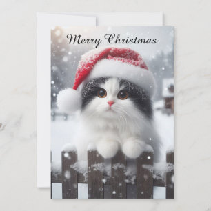 Cartão De Festividades Um gato branco com chapéu de Papai Noel