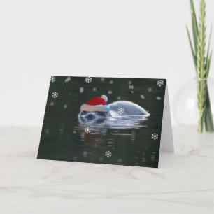 Cartão De Festividades Um Natal de focas