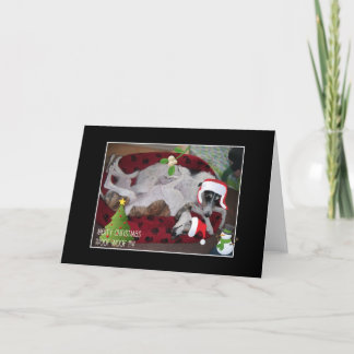 Cartão De Festividades Um Natal De Lurcher