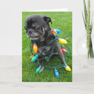 Cartão De Festividades Um Natal Sem Tangs