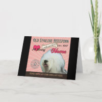 Um Sheepdog inglês velho Loving faz nossa casa da