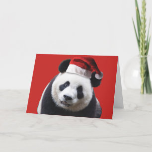 Cartão De Festividades Um urso de panda bonito que veste um chapéu de