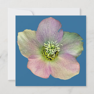 Cartão De Festividades Uma flor