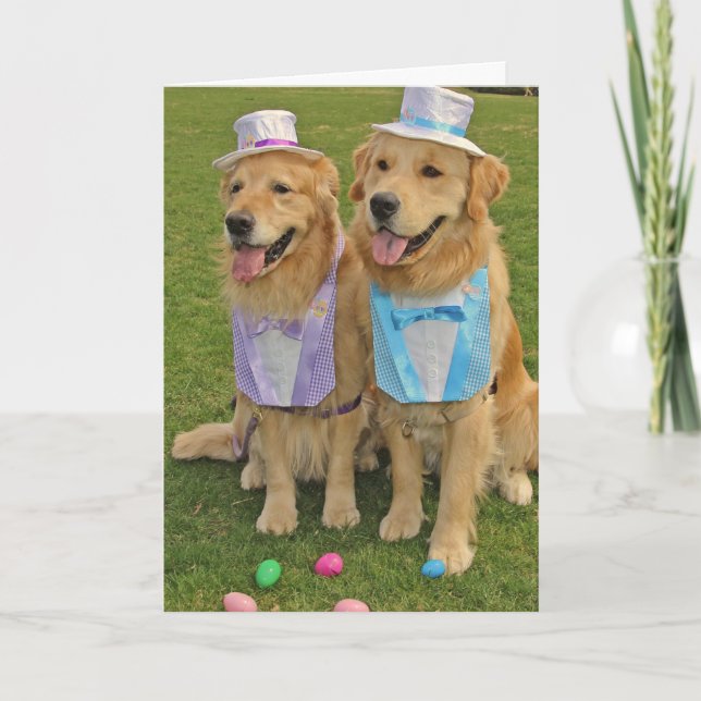 Cartão De Festividades Uma Páscoa De Iluminação Ovina Ouro (Frente)