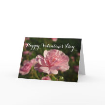 Uma rosa para uma rosa feliz Dia dos Namorados