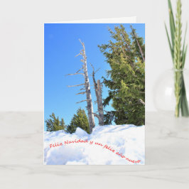 Cartão De Festividades Una escena de invierno para la Navidad. Espanhol. 