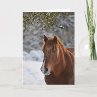 Cartão De Festividades Under the mistletoe, horse Christmas
