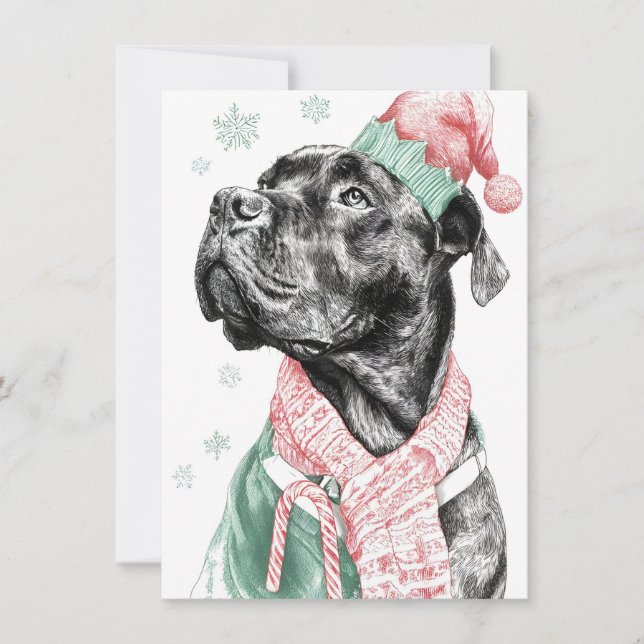 Cartão De Festividades Unique Dog Christmas Cards (Frente)