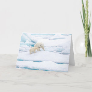 Cartão De Festividades Urso polar com filhote