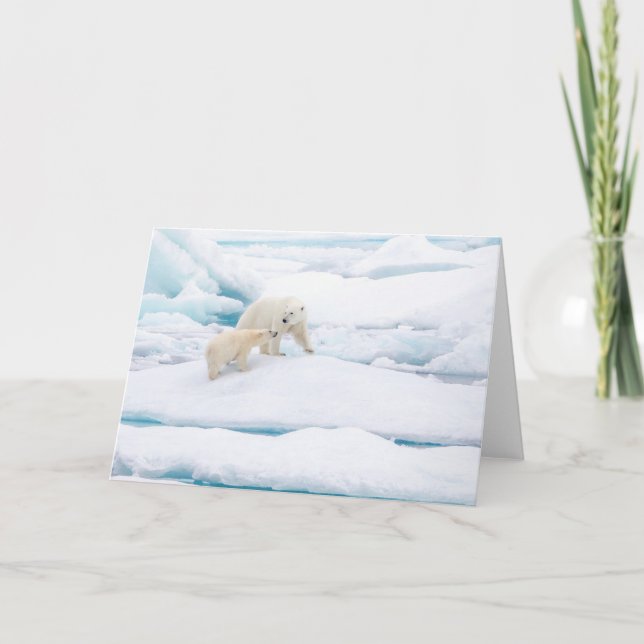 Cartão De Festividades Urso polar com filhote (Frente)