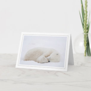 Cartão De Festividades Urso Polar Dormindo
