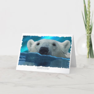 CARTÃO DE FESTIVIDADES URSO POLAR NADANDO