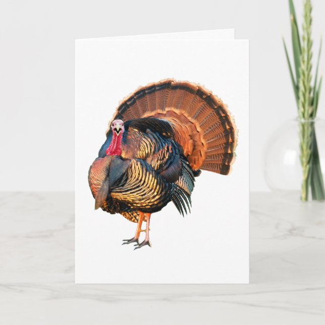 Cartão De Festividades Vá Coisas (Frente)