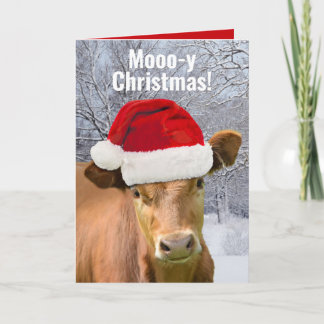 Cartão De Festividades Vaca com chapéu de Papai Noel Mooo-y Natal, Feliz