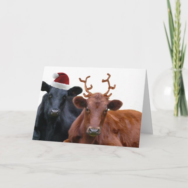 Cartão De Festividades Vacas de Natal em Santa Hat e Antlers (Frente)