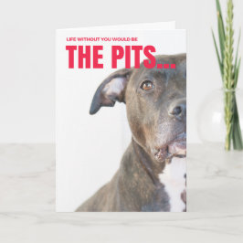 Cartão De Festividades Valentine Card for dog lovers