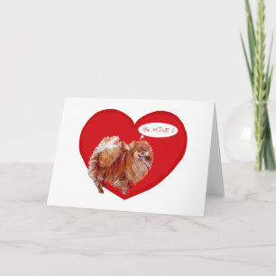 Cartão De Festividades Valentine de Pomerânia
