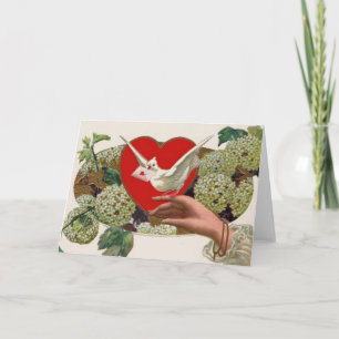 Cartão De Festividades Valentine Message With Dove