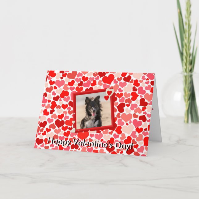 Cartão De Festividades Valentines Border Collie Dog Hearts Greeting Card (Frente)