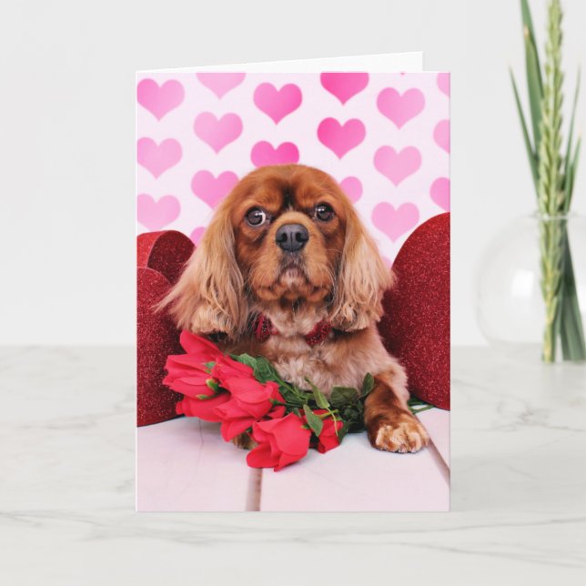 Cartão De Festividades Valentines - Cavalier - Cooper (Frente)